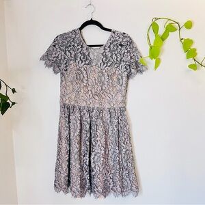 Lavender Grey Lace Fit & Flare Dress | Eliza J | Size 10